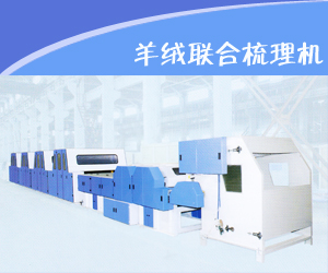 青島東佳紡機(jī)(集團(tuán))有限公司