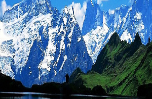 上海戴倫空調冷凍設備有限公司