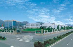 弘生集團有限公司