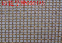 印花導(dǎo)帶6004AS.jpg